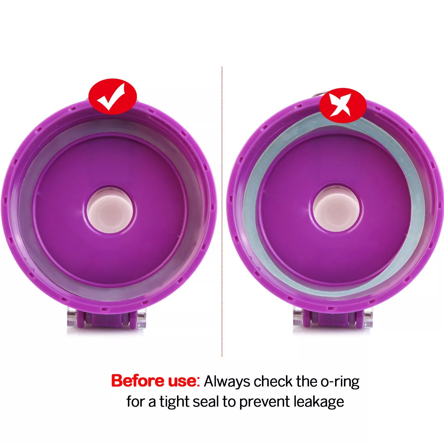 32 Oz Fruit Infusing Infuser Water Bottle- BPA Free