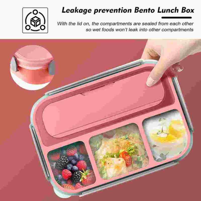 Bento Lunch Box With 4 Compartment For Adults & Kids